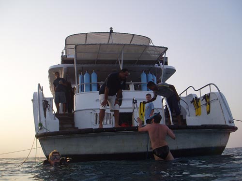dive platform.jpg